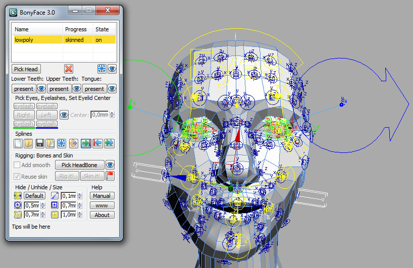 Rig and main window in BonyFace 3.0